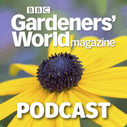 Spotify Embed: What To Do Now - Sowing tender veg, deadheading spring blooms, and caring for containers