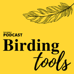 Spotify Embed: Start Birding with these Five Steps
