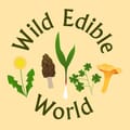 Spotify Embed: WEWP#1: New Beginnings!