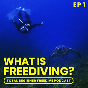 Spotify Embed: Episode #1 - What is Freediving?