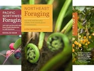 Regional Foraging Series