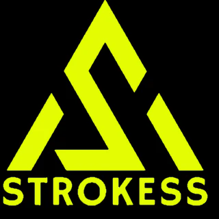 Strokess - India's Premier Pickleball Paddles Brand
