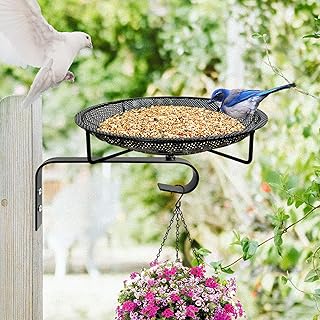 Wall Mounted Bird Feeders