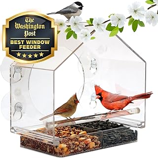 Window Bird Feeders