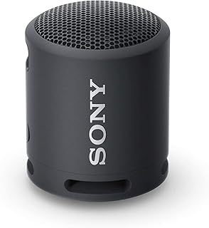 Portable Bluetooth Speakers