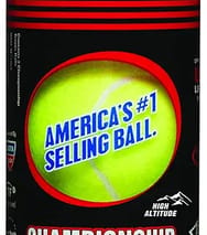 Penn Championship Tennis Balls