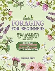 FORAGING FOR BEGINNERS: 2 in 1 Collection