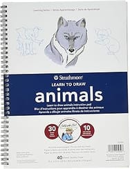Strathmore Learn to Draw Series