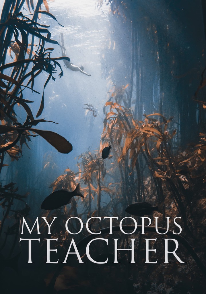 My Octopus Teacher
