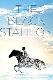 The Black Stallion
