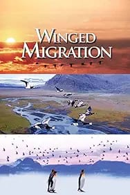 Winged Migration