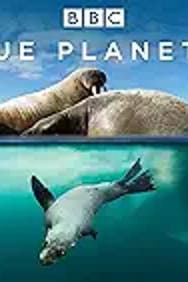 The Blue Planet II