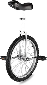 Unicycle