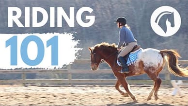 HOW TO RIDE A HORSE (EASY BEGINNERS GUIDE)