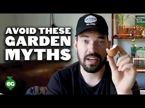 4 Garden Myths To Avoid Right Now