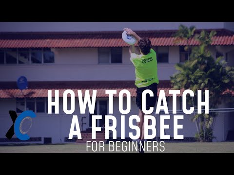 How to Catch a Frisbee for Beginners