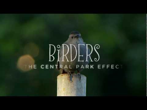 Birders: The Central Park Effect - Official Trailer