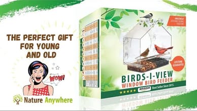The Original Window Bird Feeder