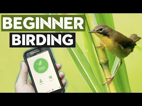 Things ALL Beginner Birders Should Do