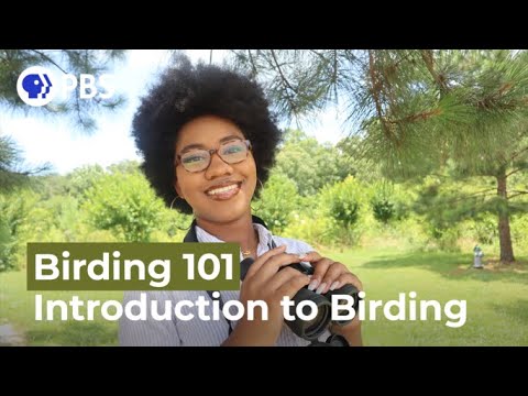 Introduction to Birding | Birding 101 with Sheridan Alford