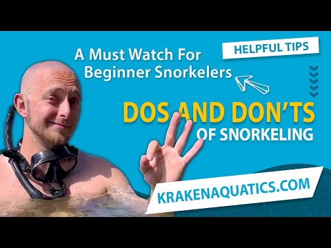 The Dos And Don'ts Of Snorkeling | A Must Watch For Beginner Snorkelers | Snorkeling for Beginners