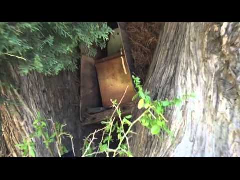 Geocaching