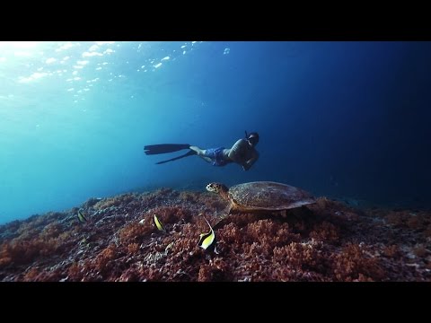 PADI Freediver Course