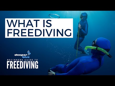 The Beginners Guide To Freediving