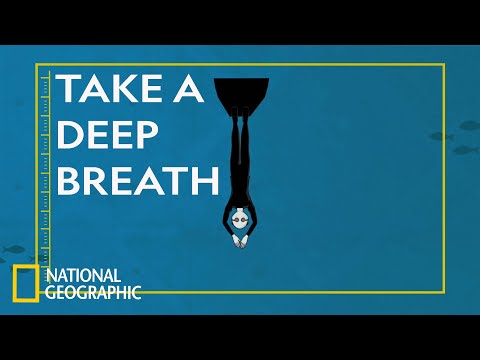 The Dangers of Free Diving | Science of Stupid: Ridiculous Fails