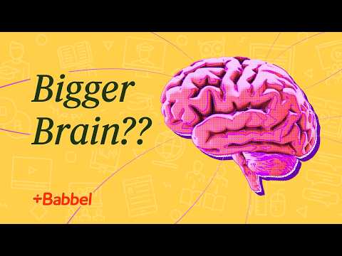 What Happens To Your Brain When You Learn a Language?