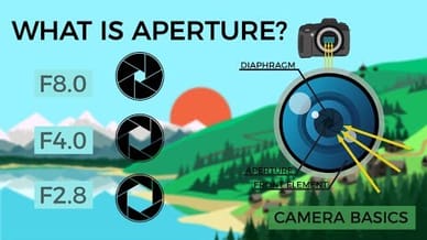 Camera Basics