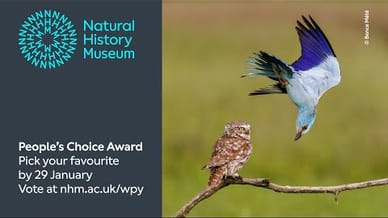 People's Choice Award 2024 | Wildlife Photographer of the Year