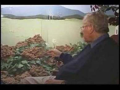 "RockHounds: The Movie" Trailer