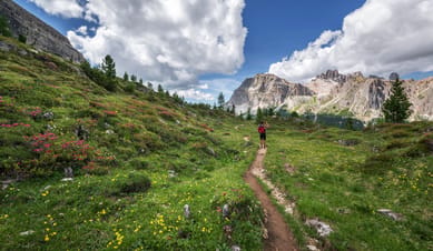 Hiking