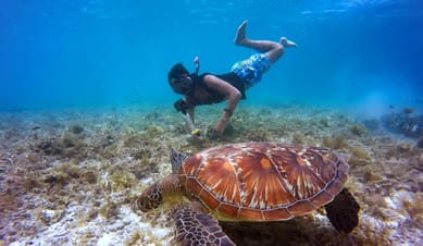 Snorkeling