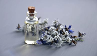 Olfactory Art and Perfumery