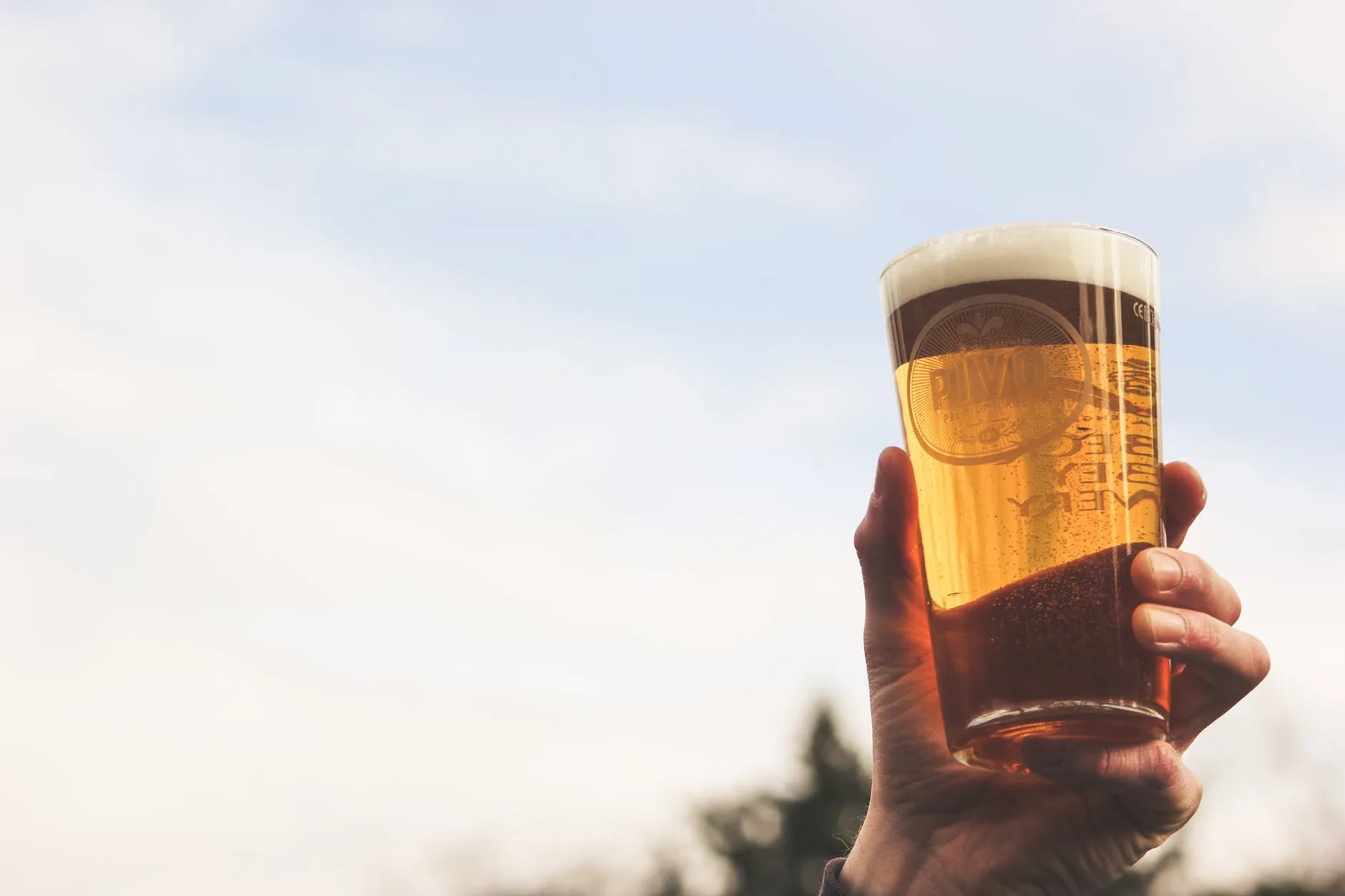 close up photo of person holding glass of beer