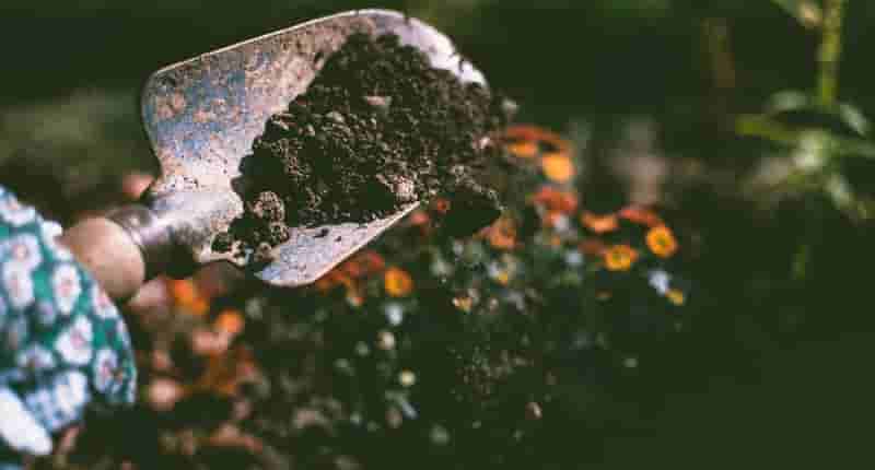 person digging on soil using garden shovel