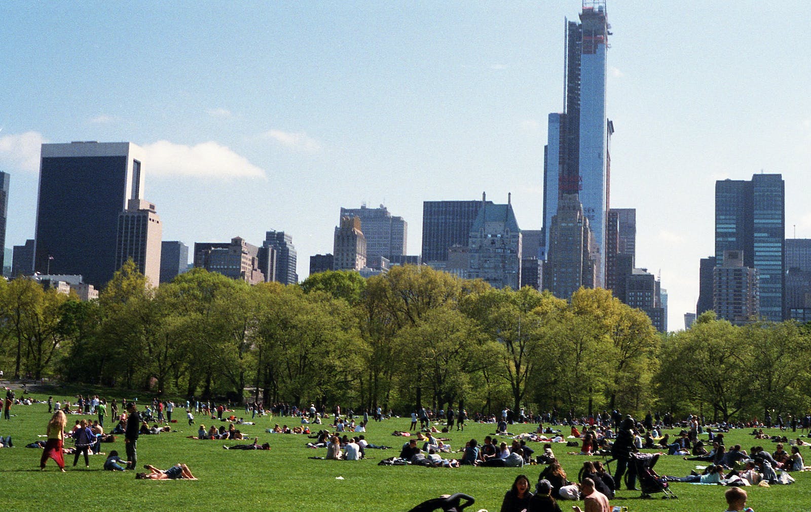 people at park