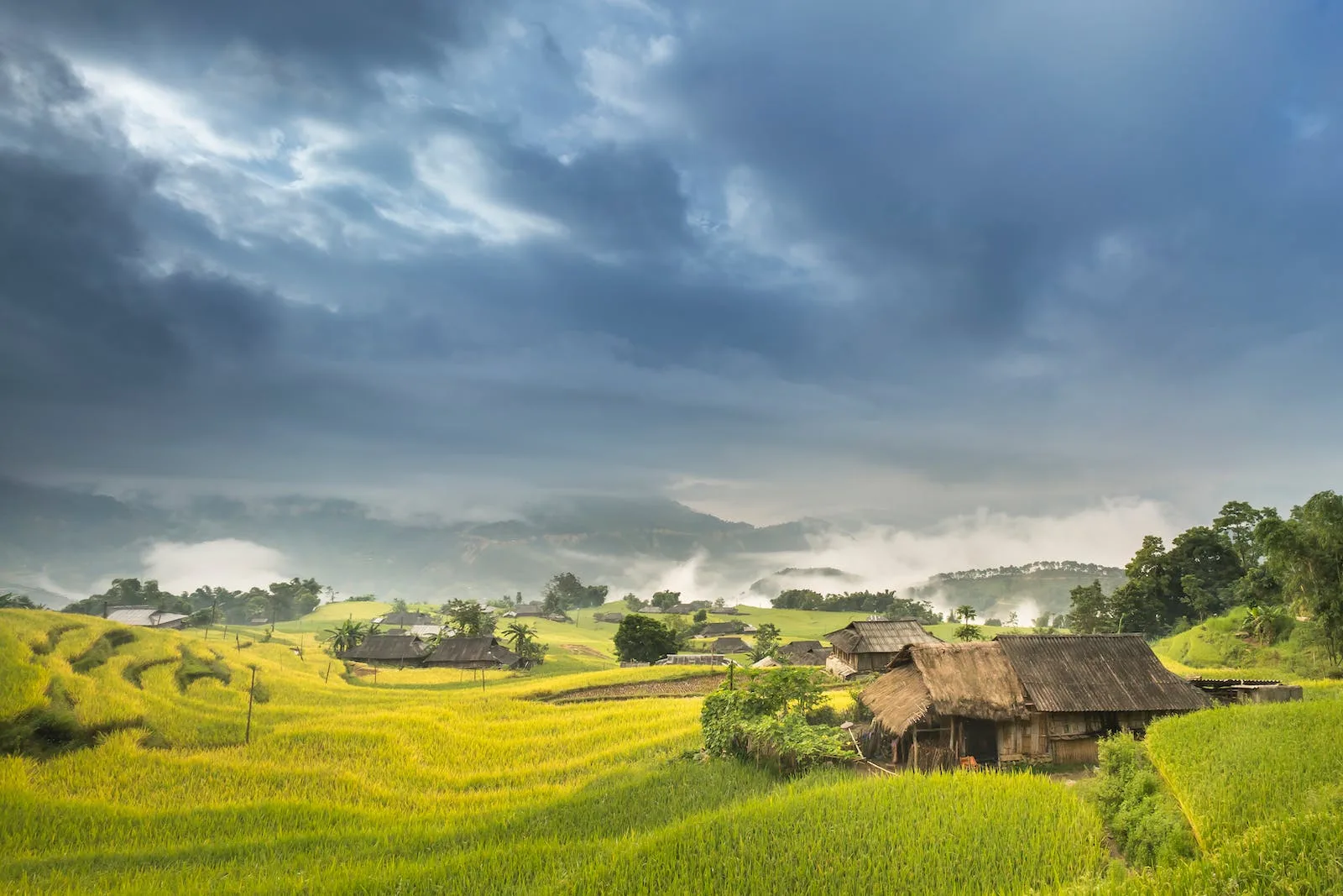 photo of houses on green grass field