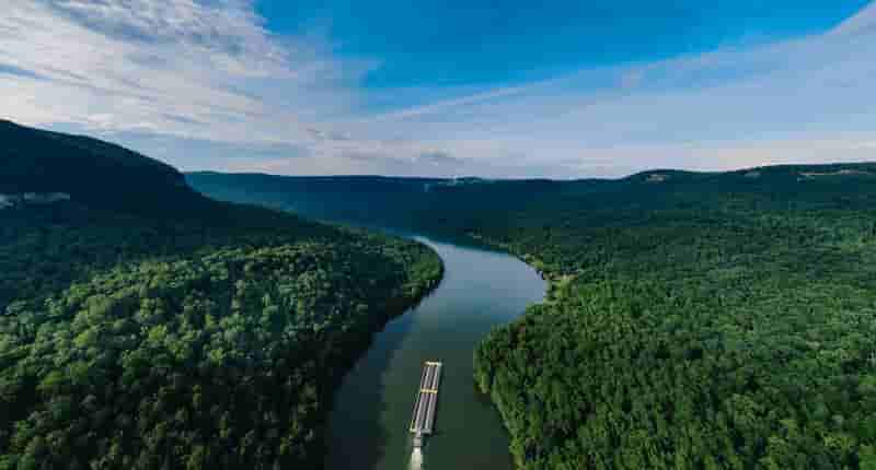 aerial photography of a boat on a waterway in the middle of forest