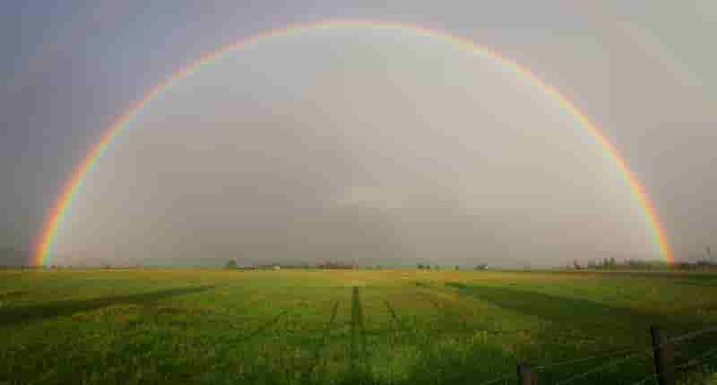 Rainbow on Grass Field