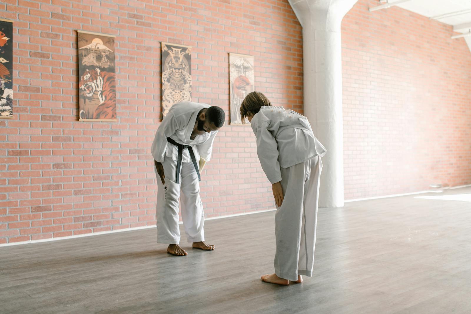 Free stock photo of aikido, arawaza, artwork