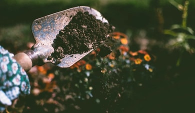 Gardening