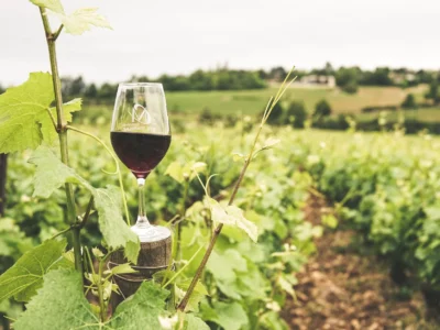 glass filled with wine