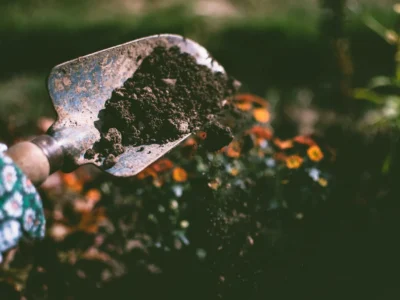 person digging on soil using garden shovel