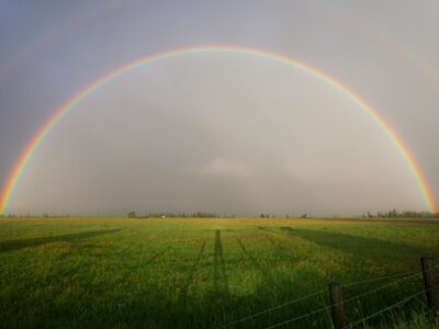 Rainbow on Grass Field